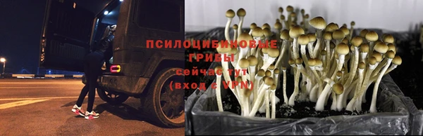 бошки Абдулино